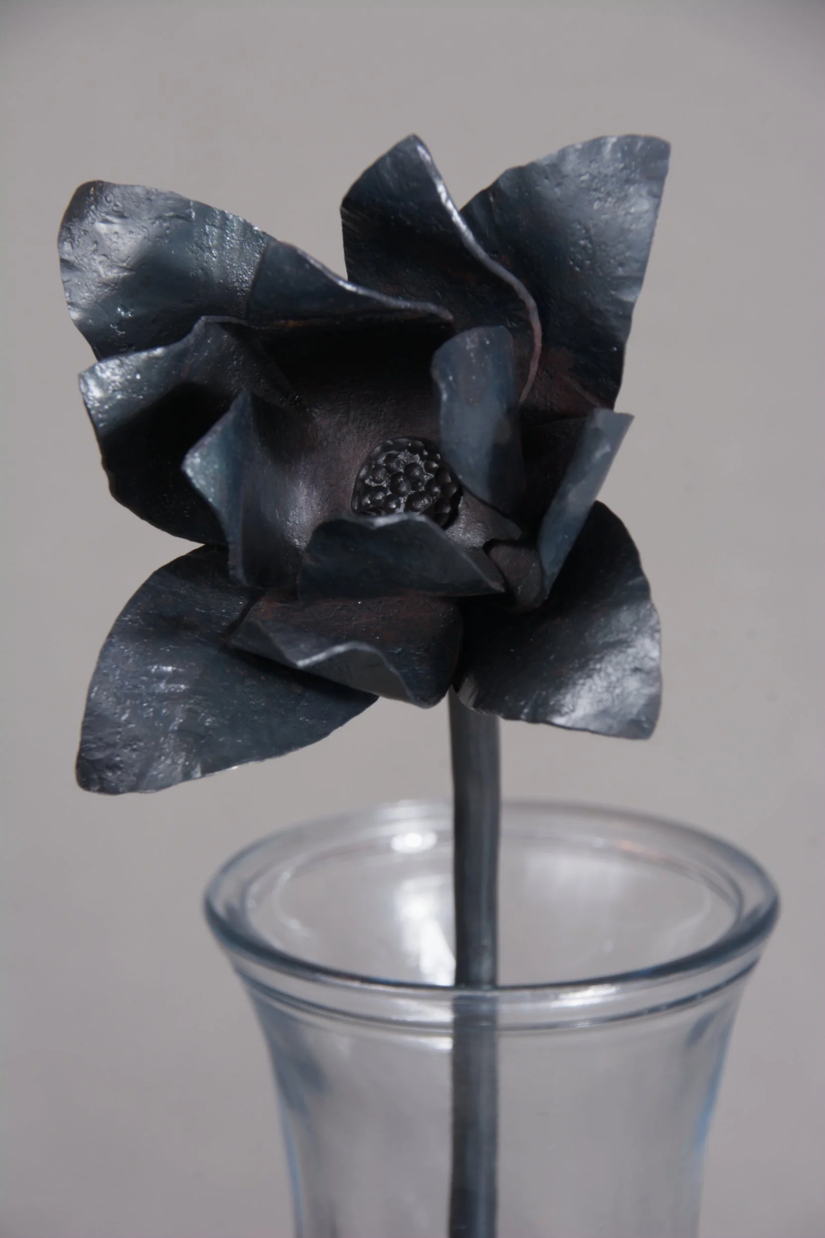 Ballon Flower