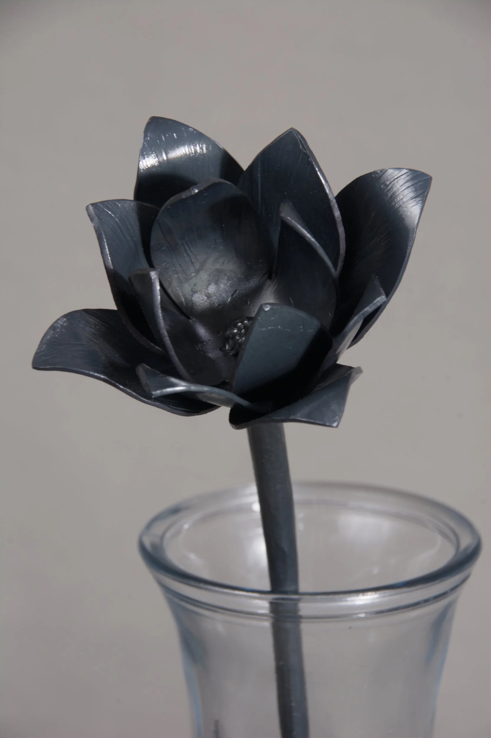 Tulip Ballade Flower