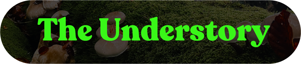 Your Site Title