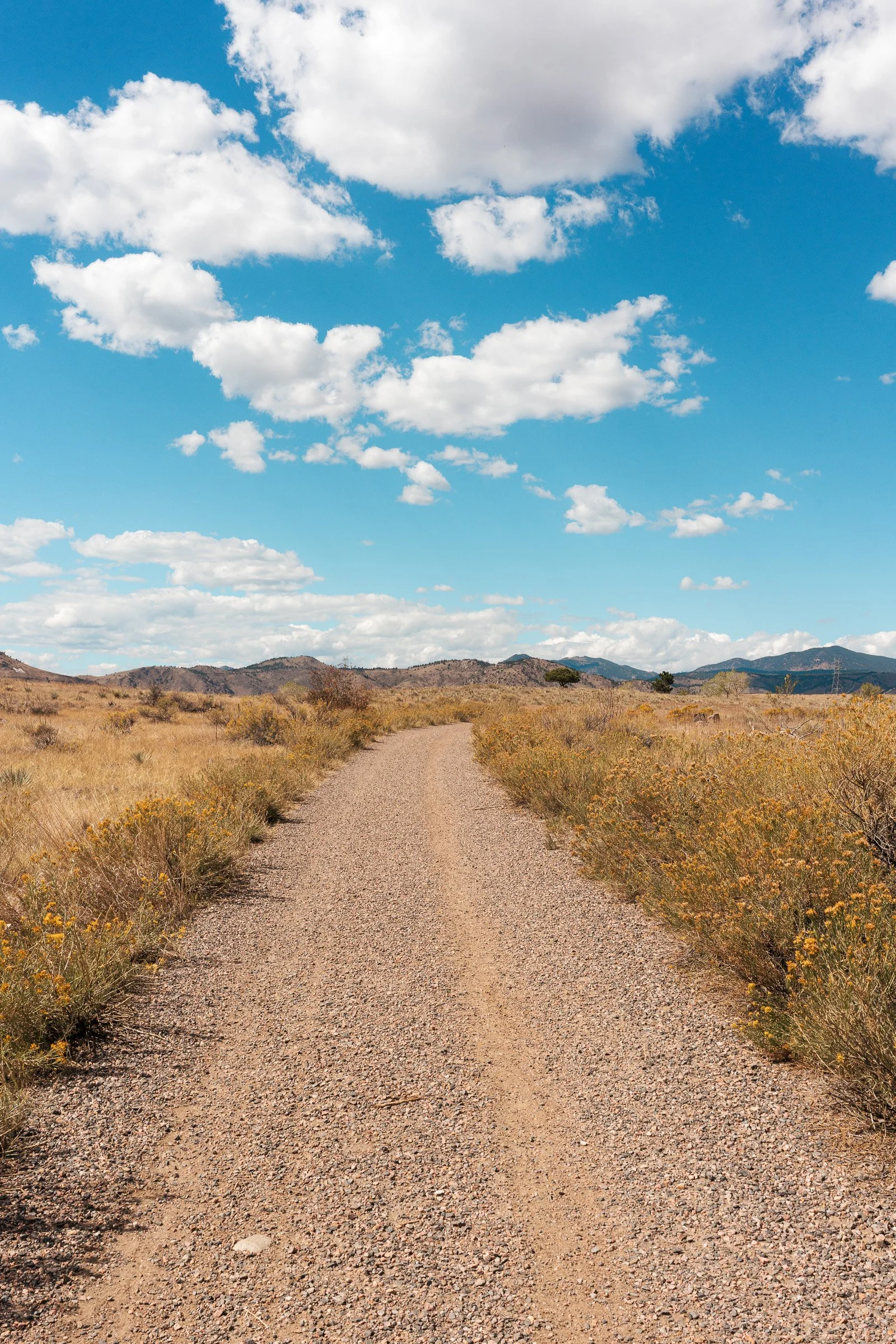 A gravel trail crossing the dry grassland of South Table Mountain.