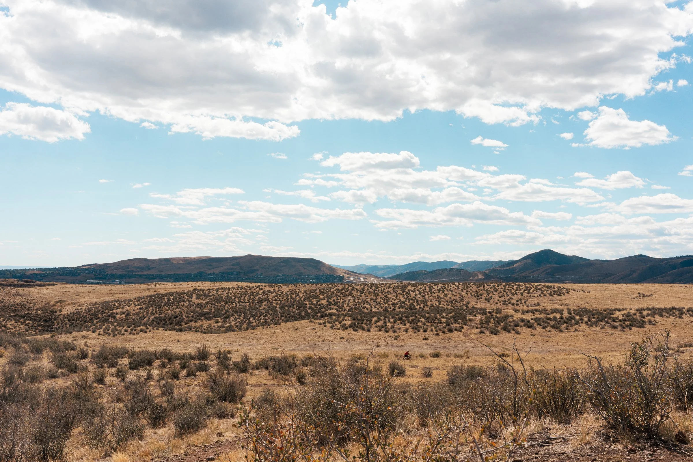 A cyclist appearing small against the wide grassland and foothills of South Table Mountain.
