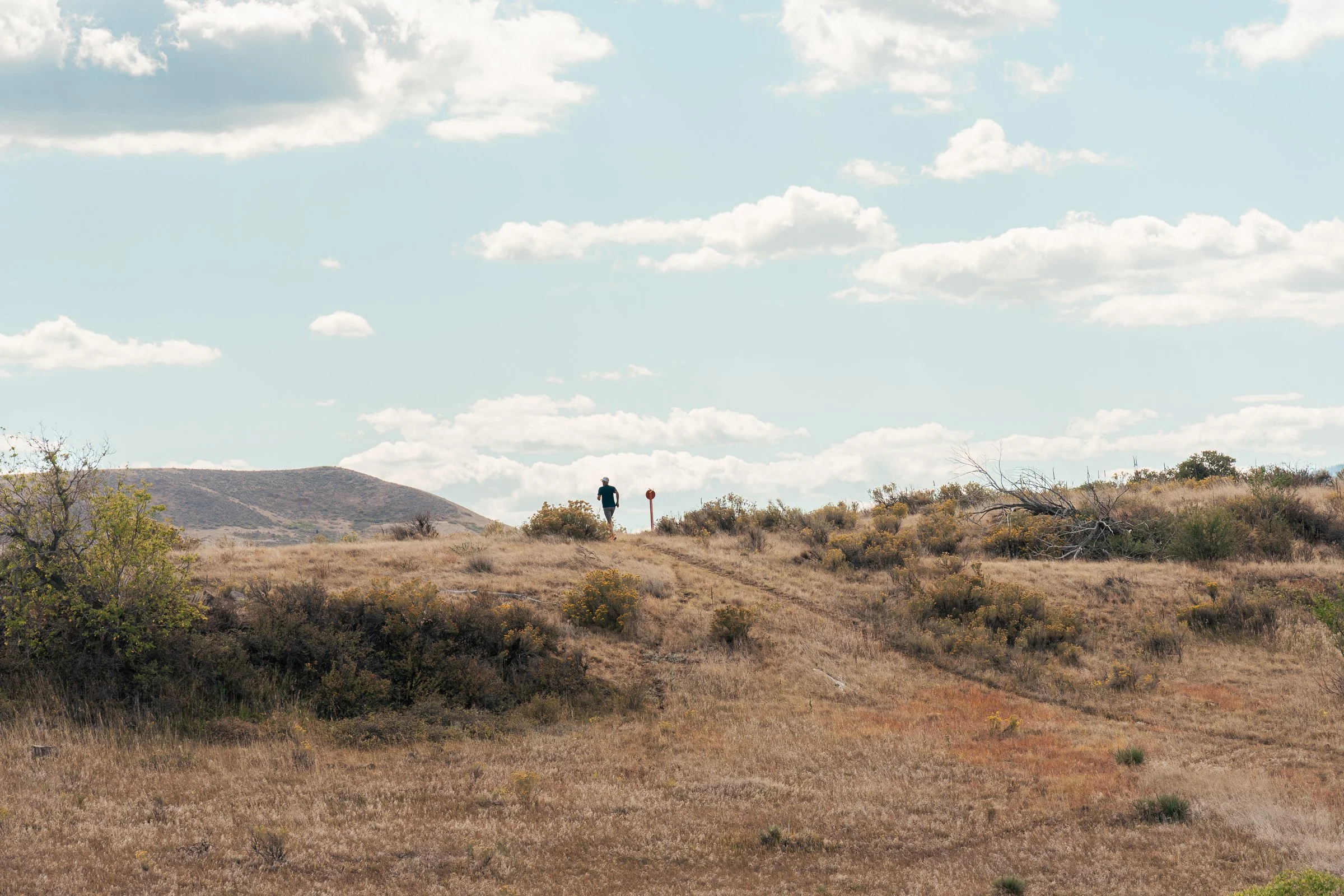 Yellow vegetation in the foreground with Colorado foothills in the distance.