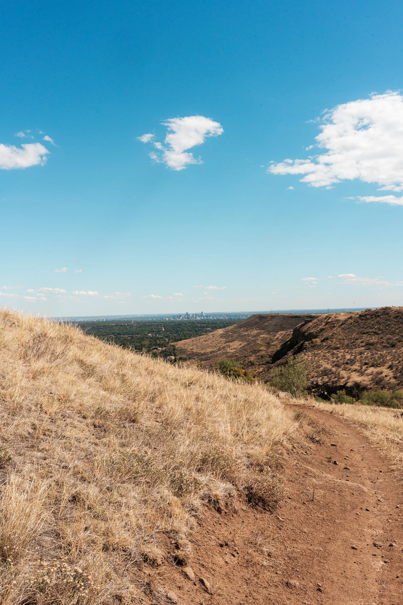 A dirt trail curving through the dry landscape of South Table Mountain.
