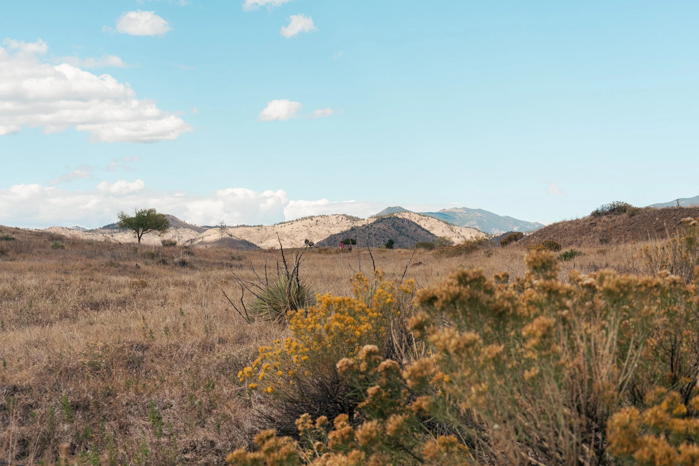 A lone person walking across the open grassland of South Table Mountain.