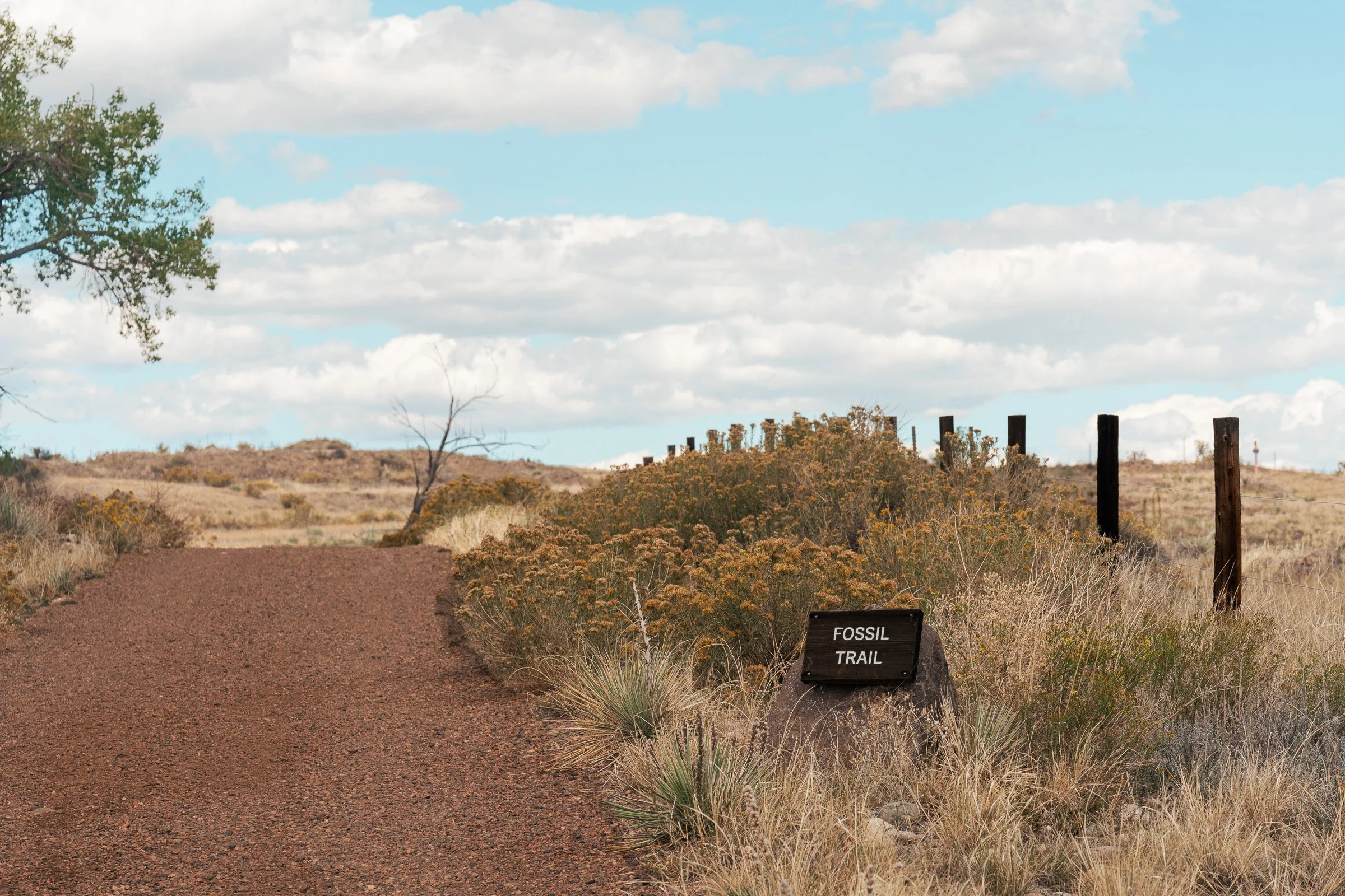 Fossil Trail sign beside a trail through South Table Mountain Park.