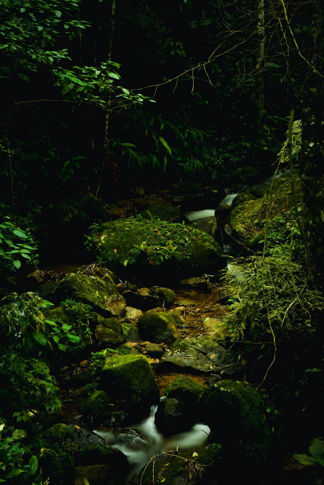 DSC00530-3.jpg