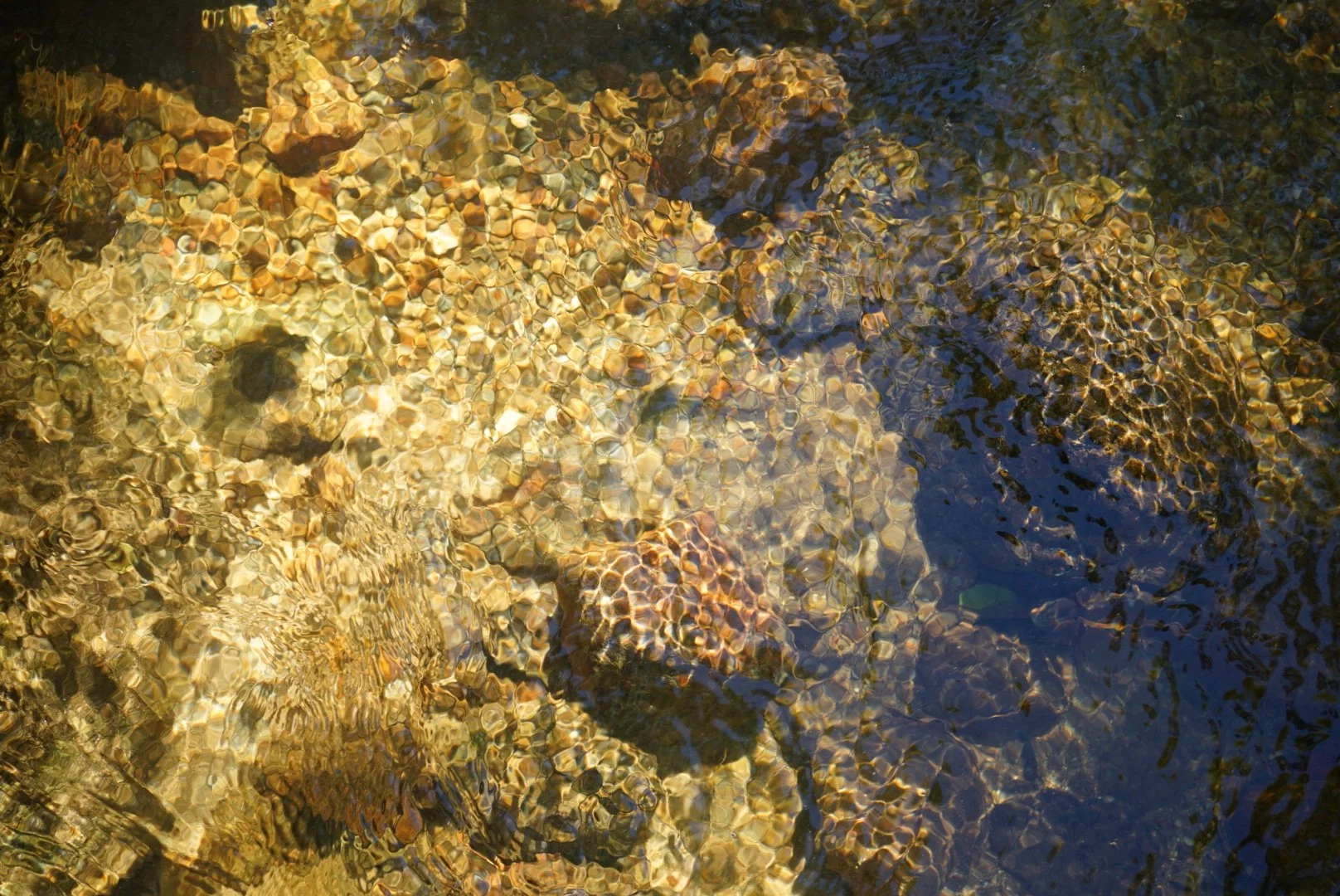 DSC00309.JPG