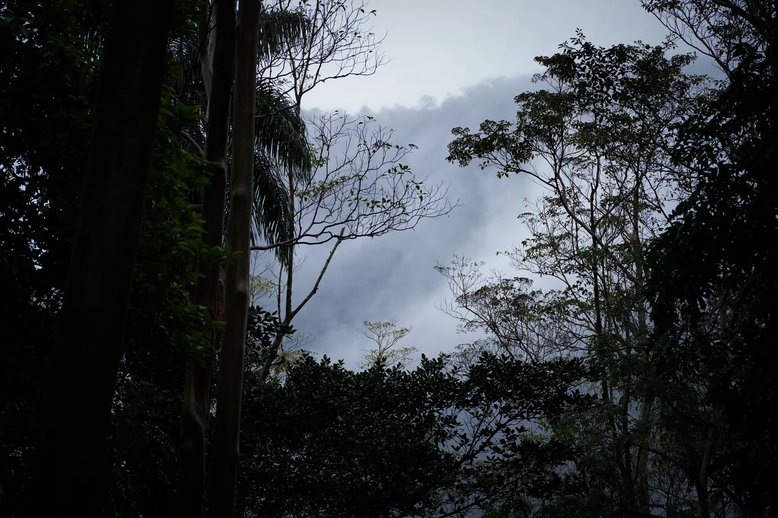 DSC00412.jpg