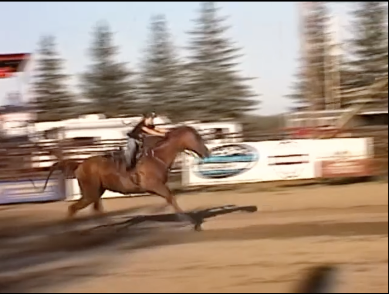 Northernmost Rodeo in the World (2025)