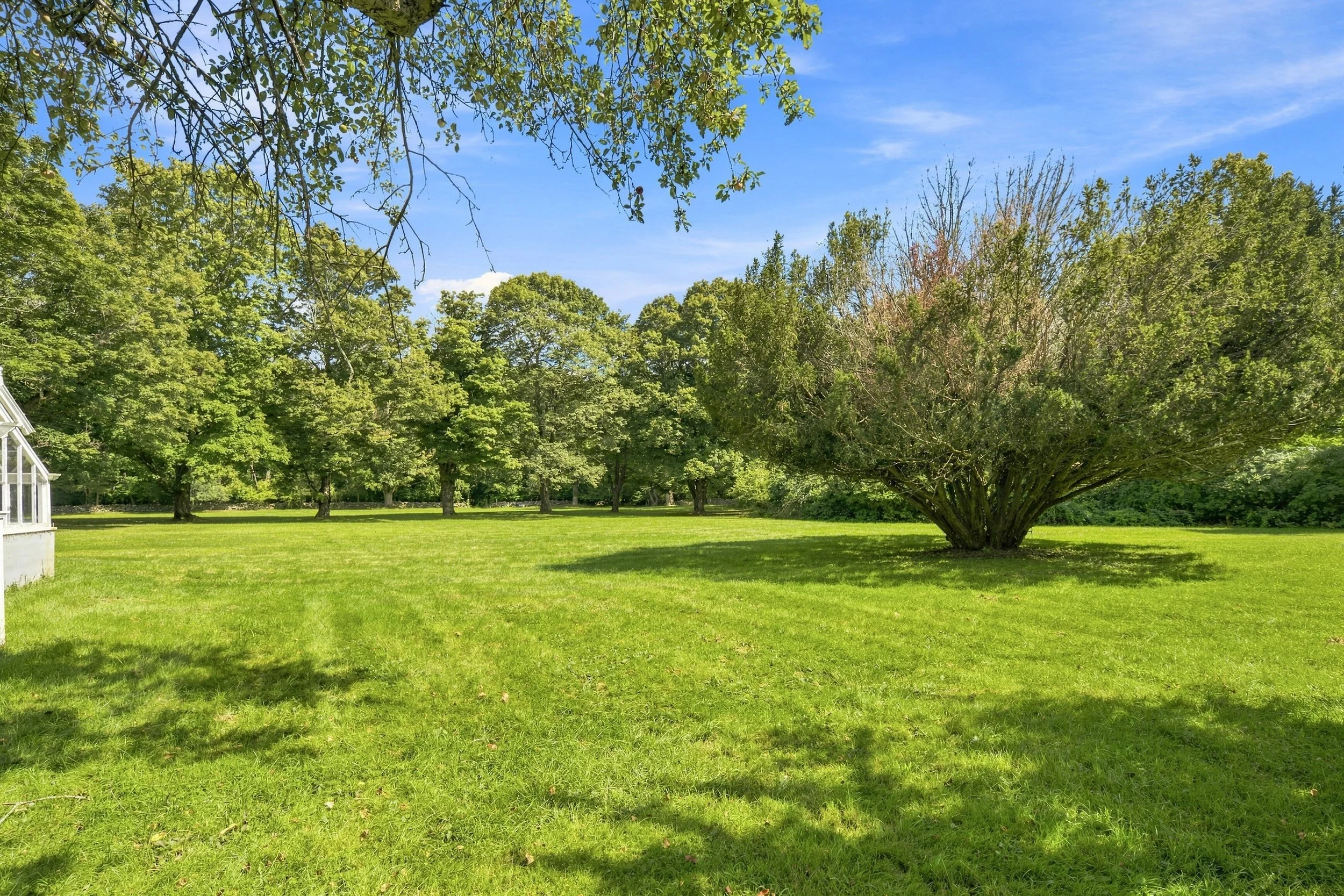 A lush green park with a large, sprawling tree and a well-maintained grassy field under a bright blue sky.