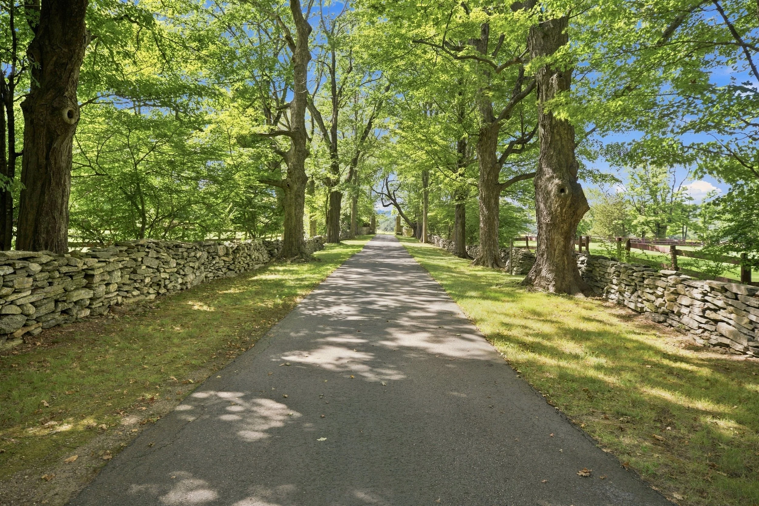 A paved walking path through a lush green park with tall trees on either side and a stone wall on the left. The sky is blue with some clouds, and sunlight filters through the leaves.