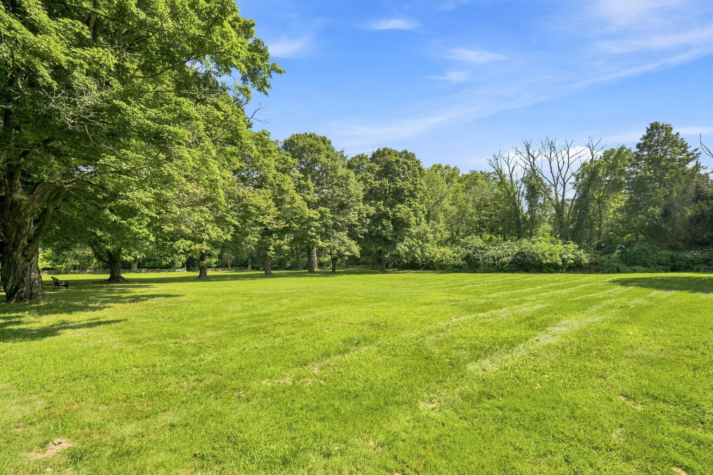 A lush green park with a tree on the left and a wide open grassy area. In the background, there are a dense cluster of trees and a partly cloudy blue sky.
