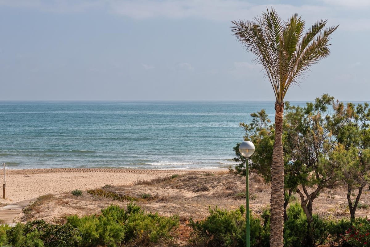 Vista de una playa con arena, mar azul y cielo despejado. En primer plano hay vegetación, incluyendo arbustos, una palmera y una farola.