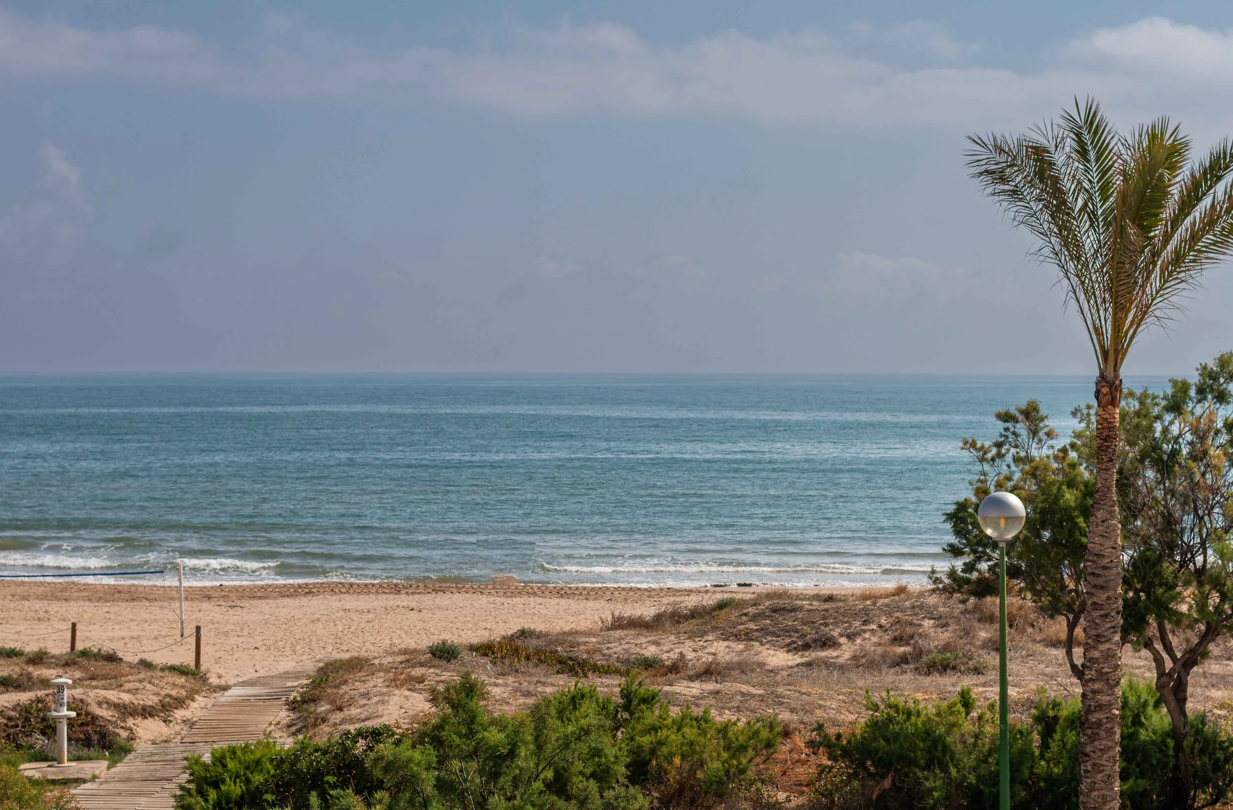 Vista de playa con arena, mar y palmeras, cielo despejado con algunas nubes, cercanía de áreas verdes y un camino de madera en primer plano.