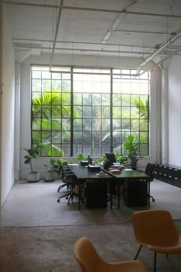 Office room with large window, green plants, and a desk with a laptop and office supplies.