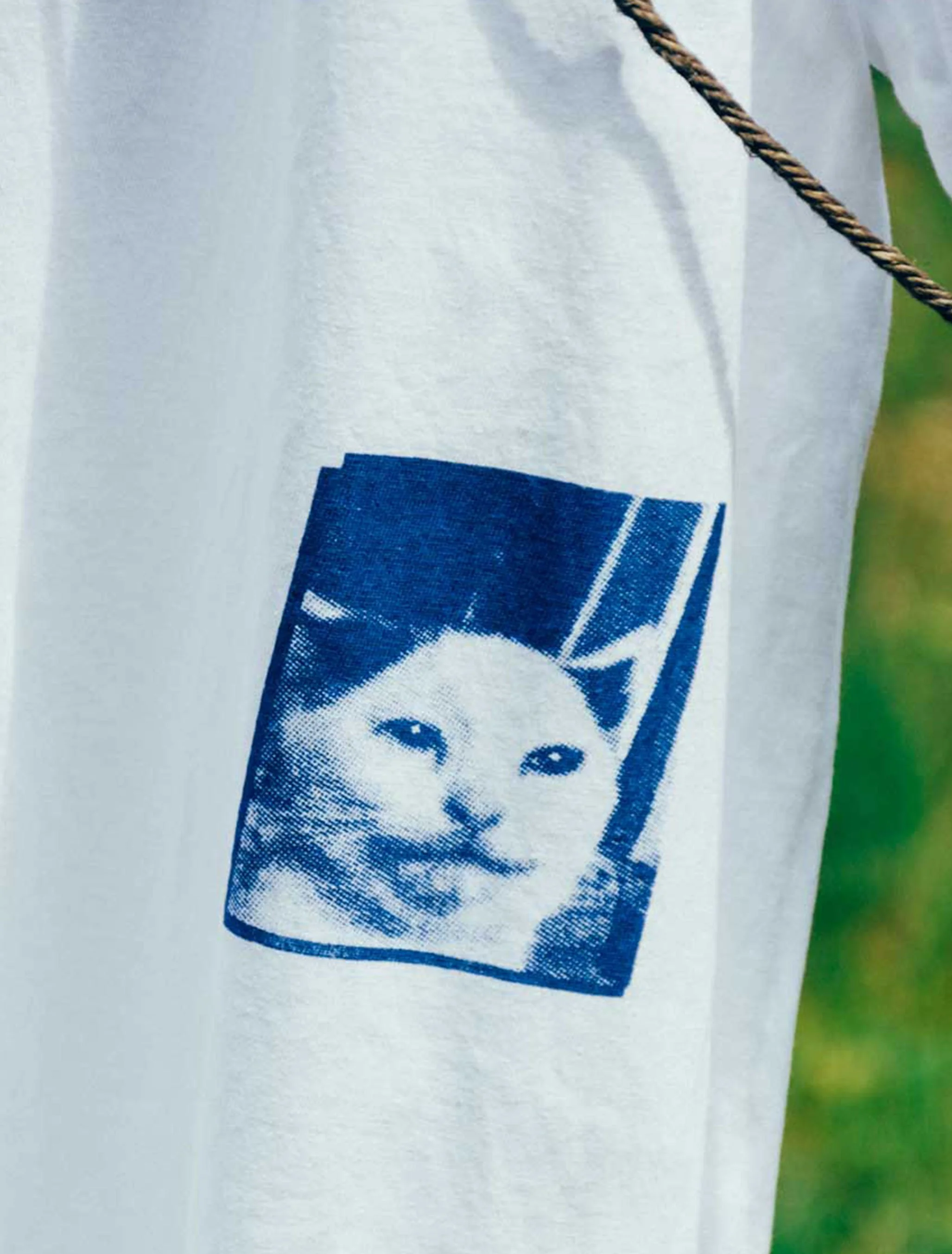 prod-portrait-katze-ts-detail.jpg