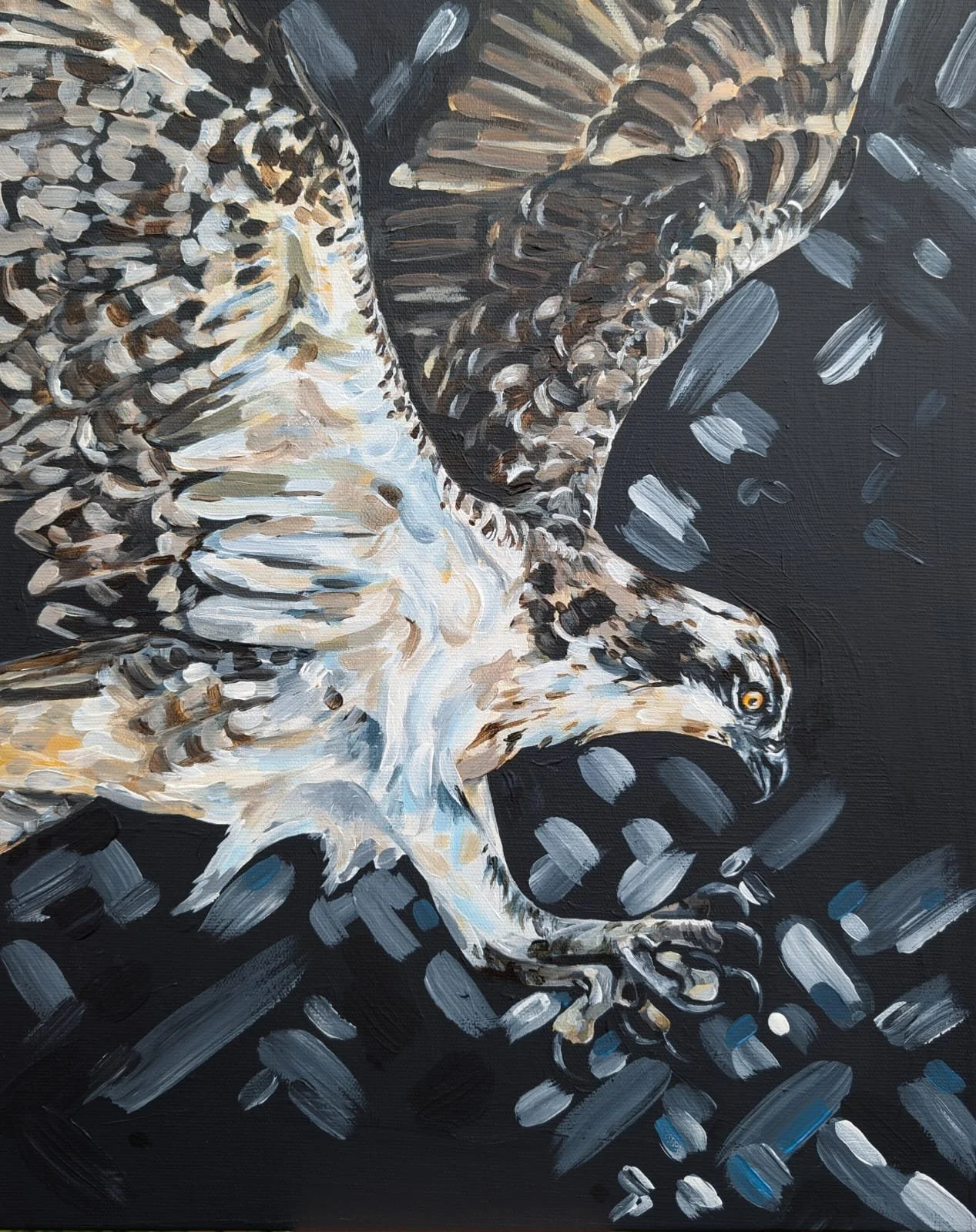 Osprey.jfif