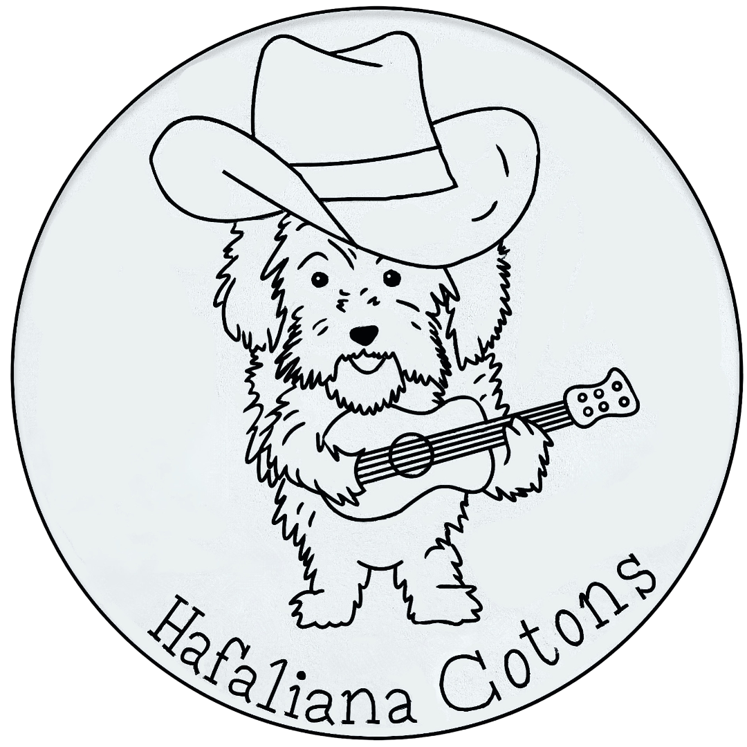 Hafaliana Cotons