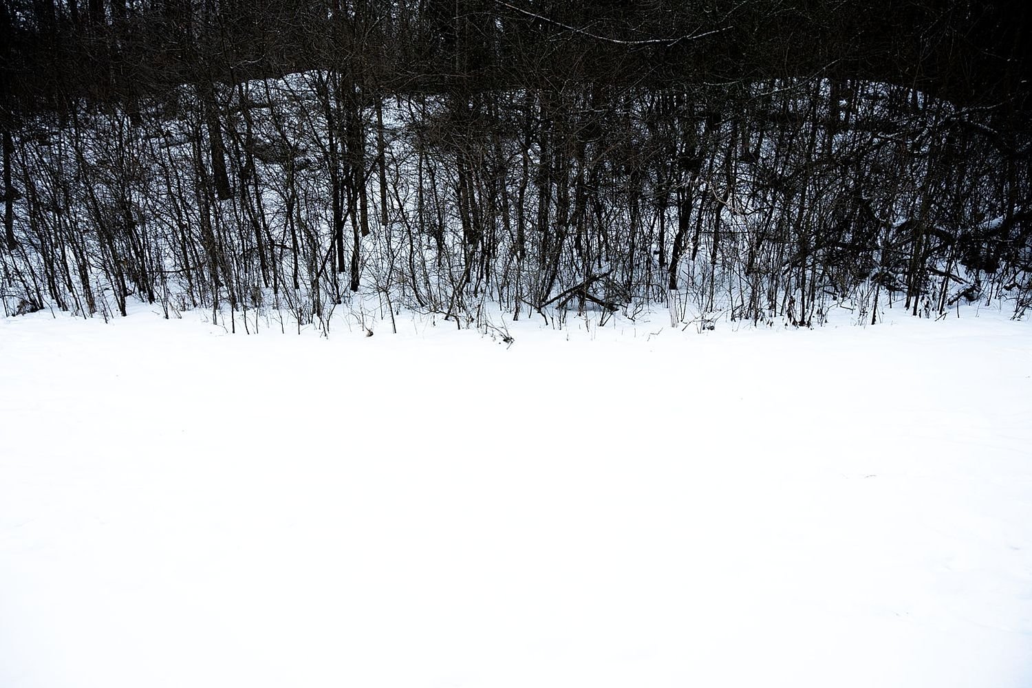 preview_8aded9c7_5a08f8a0.jpg