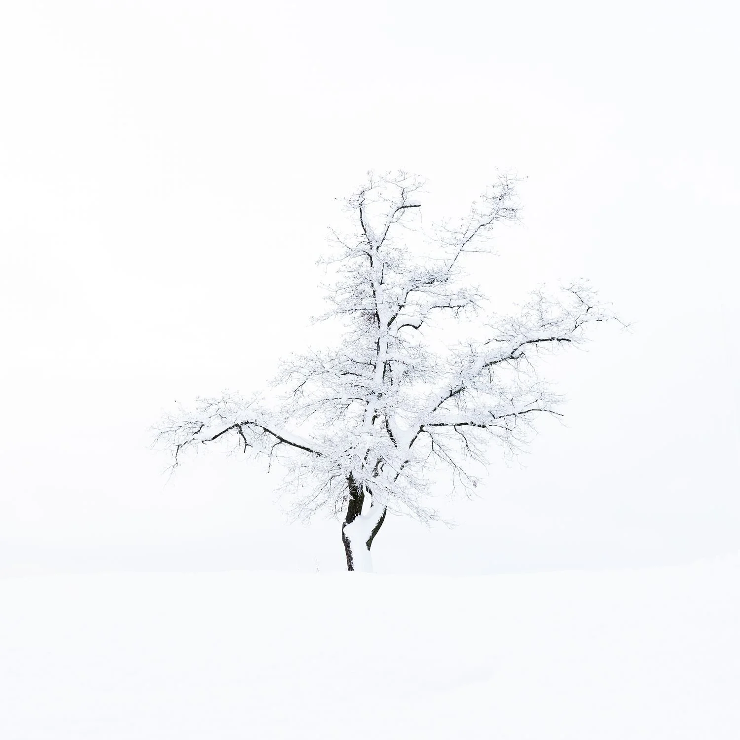 artwork_6ab65455.jpg