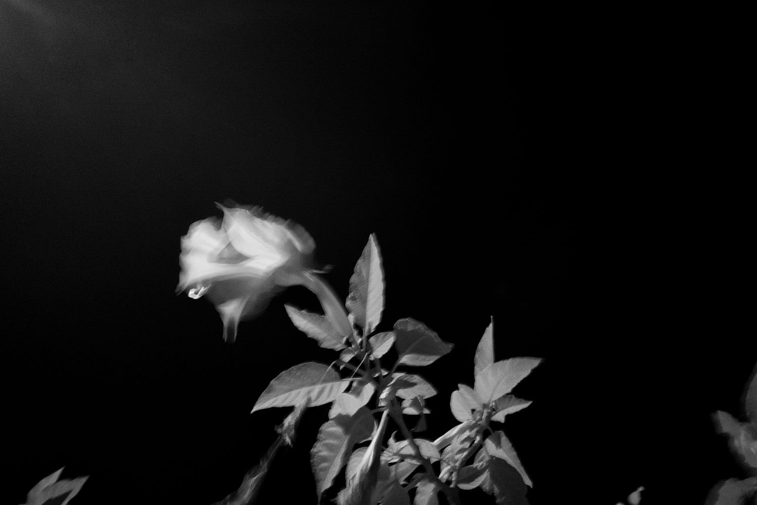 artwork_6ab68490.jpg