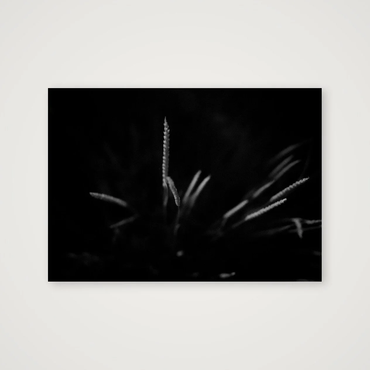 shot_table_ee679579_c7497e5b.jpg