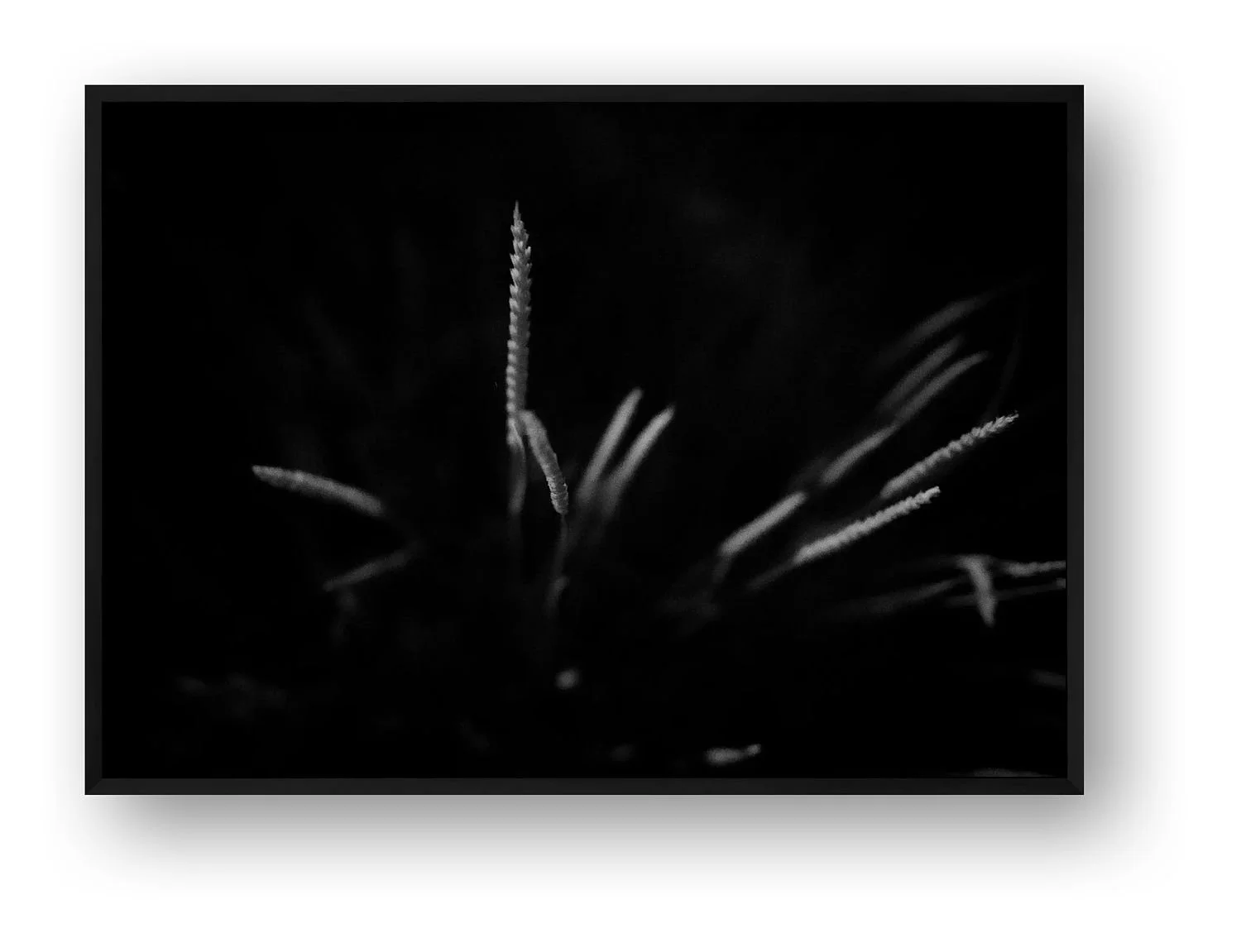 preview_fc7f796c_fe229eba.jpg