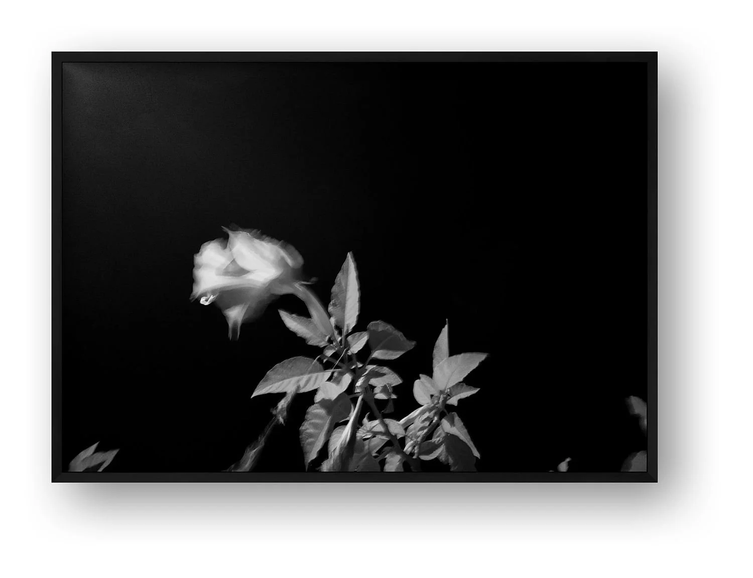 preview_9938c433_cface990.jpg