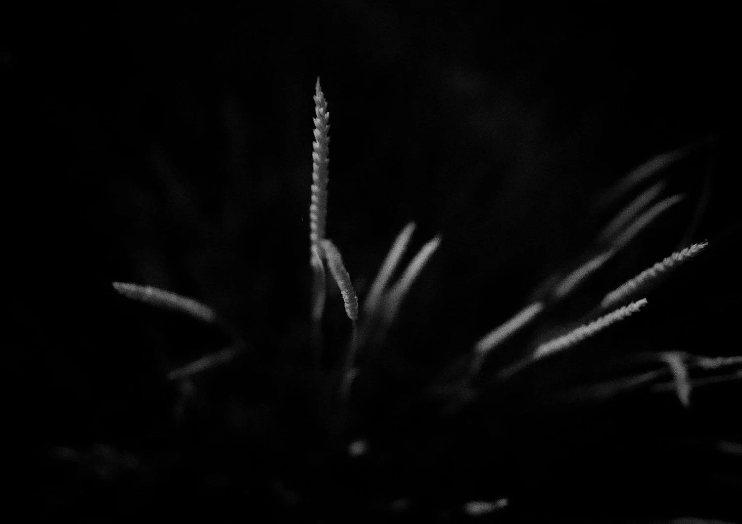 preview_ee679579_183192d0.jpg