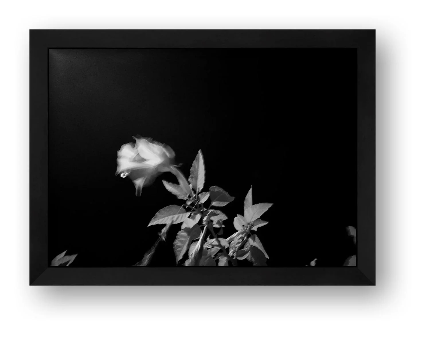 preview_6ba312b4_70053ec0.jpg