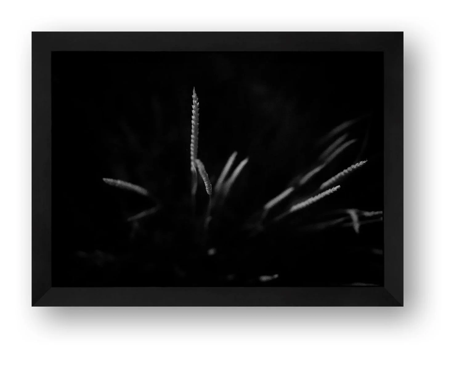 preview_e3569f97_5e349f64.jpg