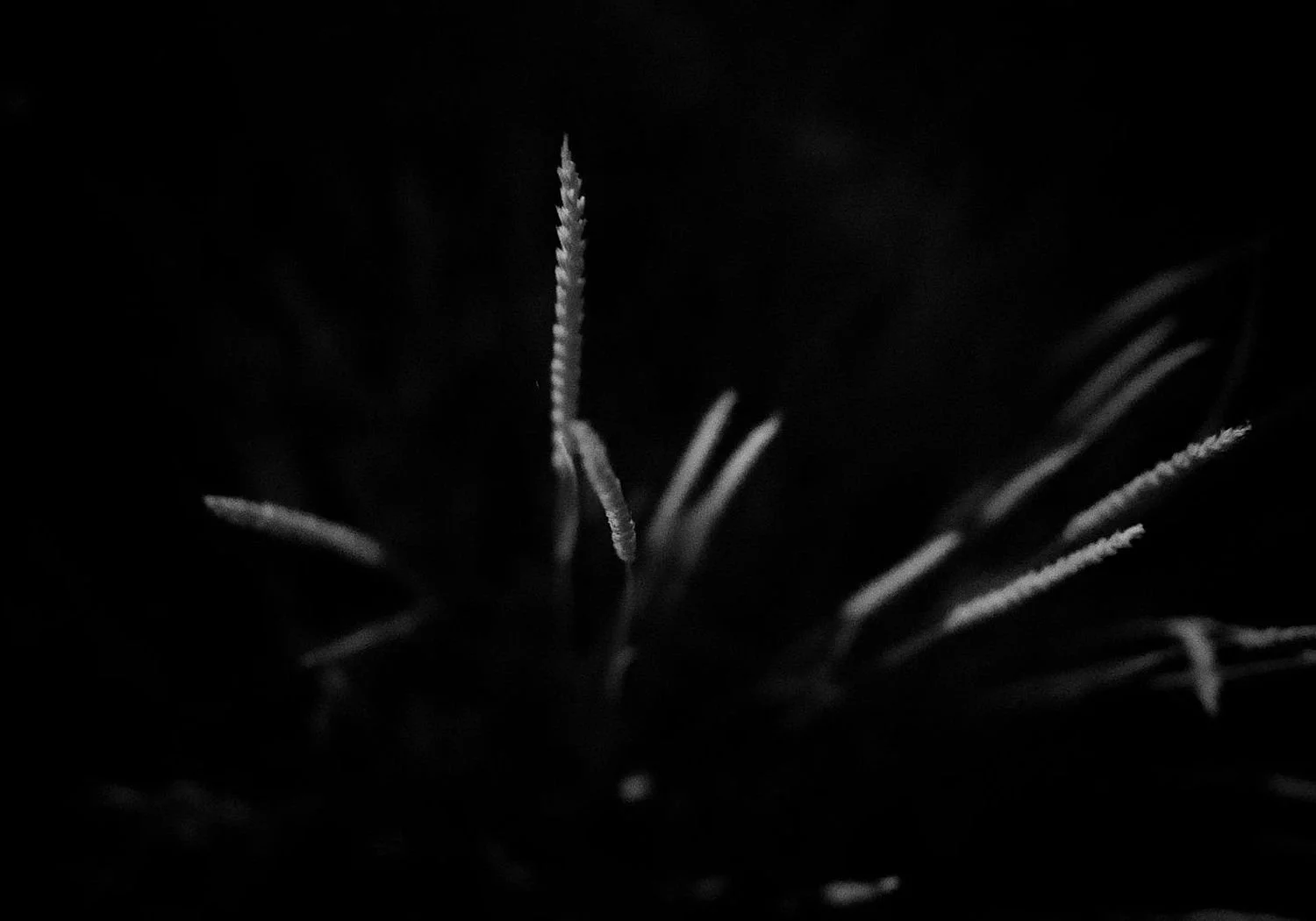 preview_b74f607d_711a8e87.jpg