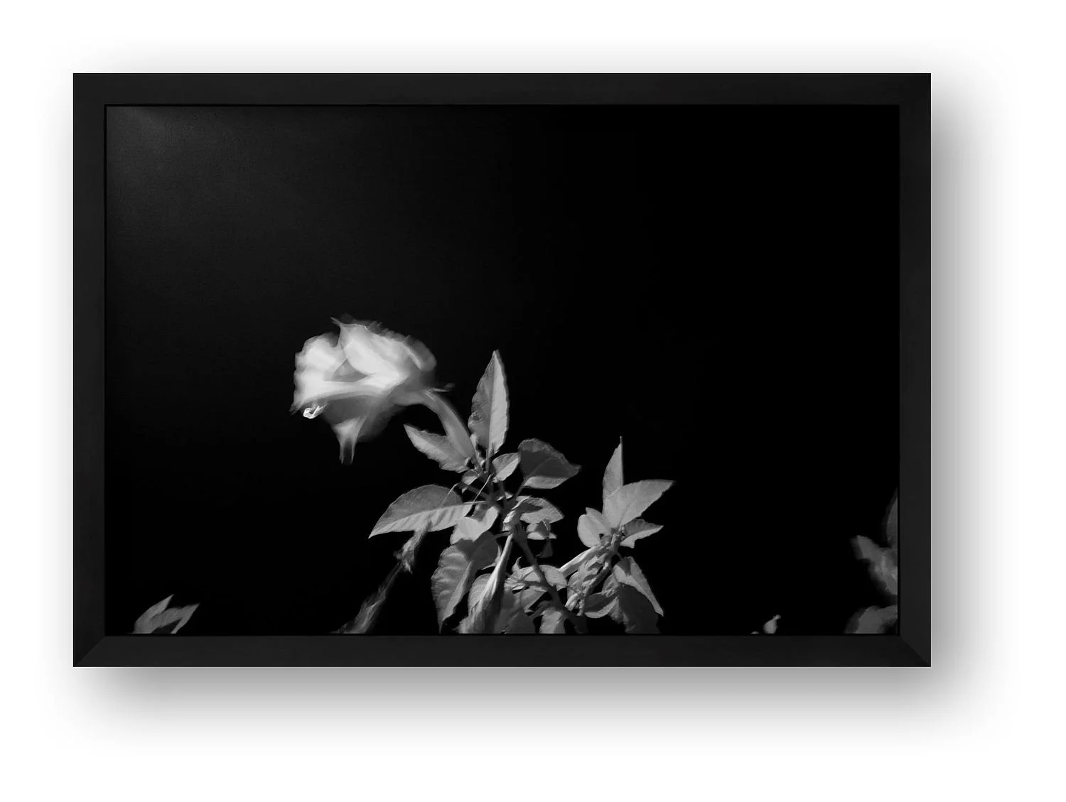 preview_2ef51c34_ba2d7824.jpg