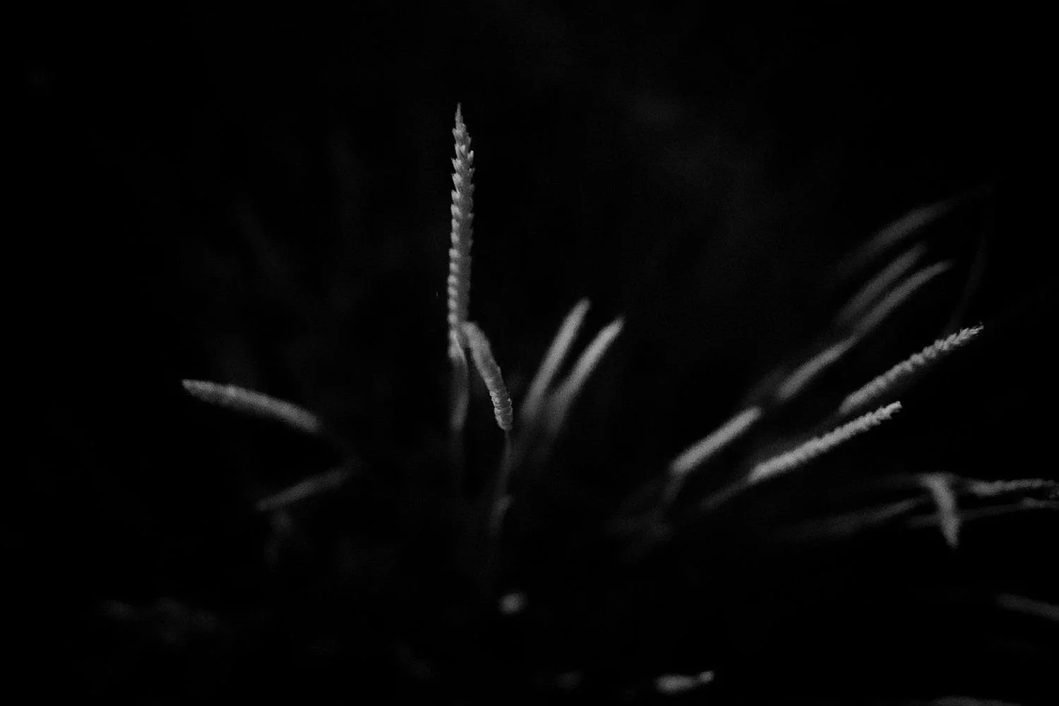 preview_4f0004db.jpg