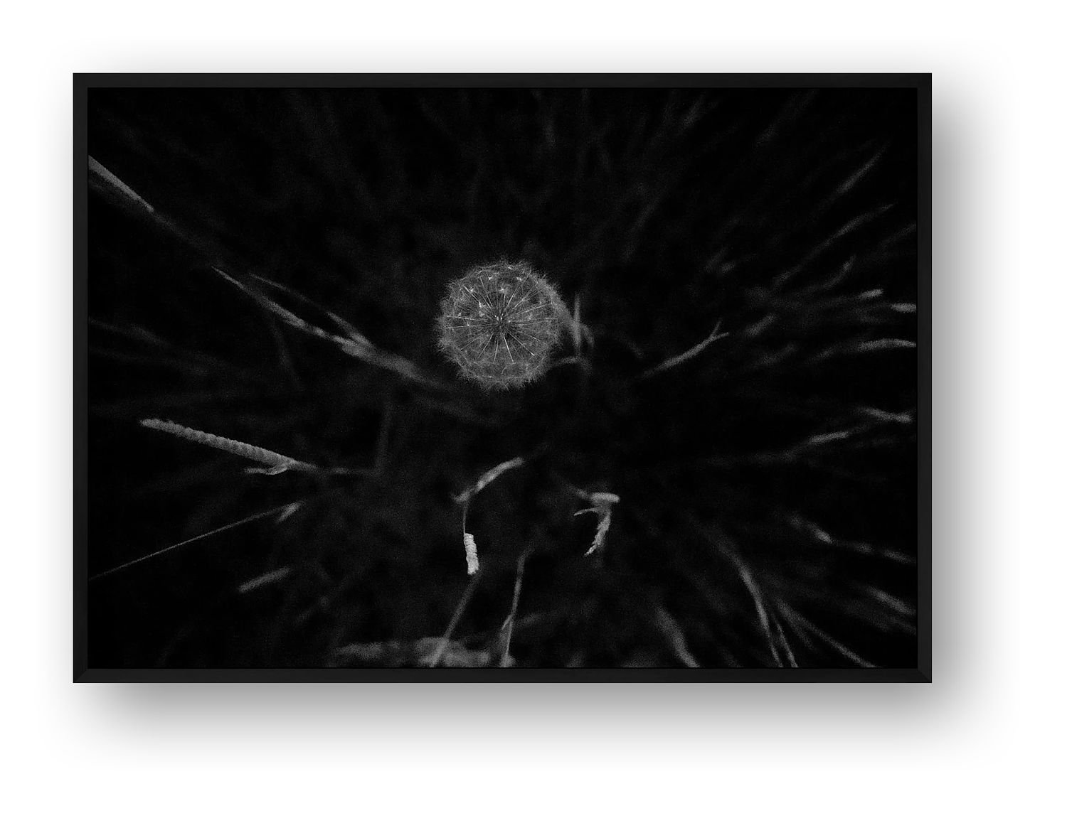 preview_b4007a5b_fdf9f037.jpg