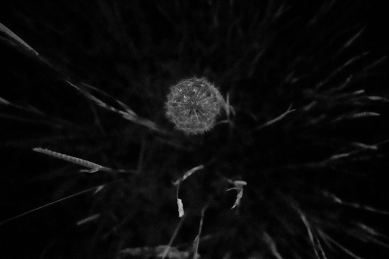 preview_62a7de9a.jpg