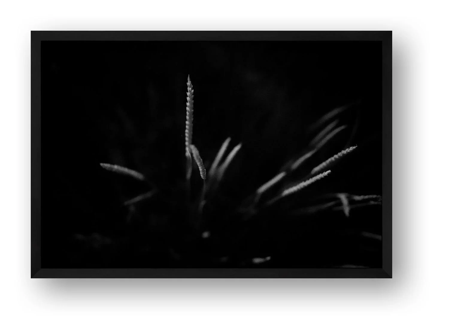 preview_093f2732_24241303.jpg