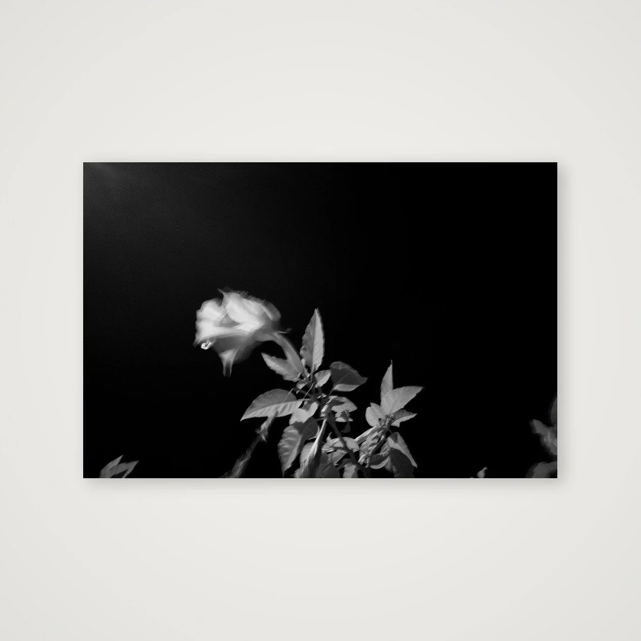 shot_table_24da0fc5_f133f971.jpg