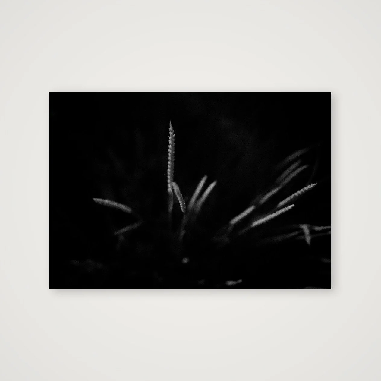 shot_table_b74f607d_53365d7e.jpg