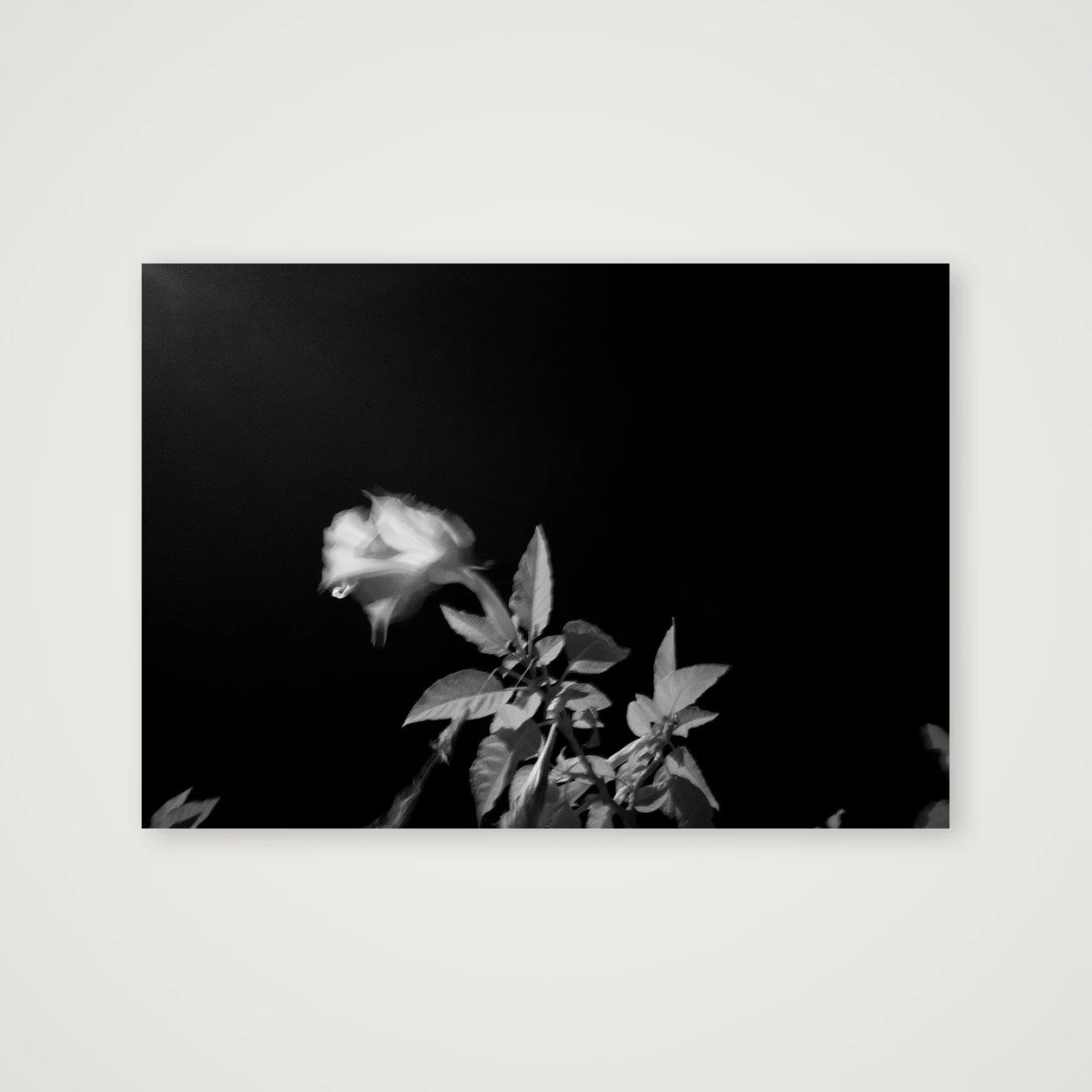 shot_table_2396d38a_0bc4ba55.jpg