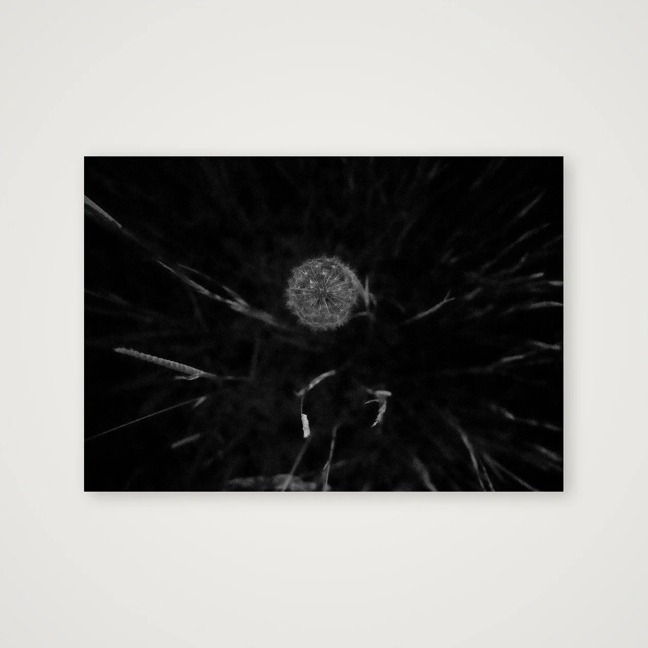shot_table_01a5b8ae_94655e66.jpg