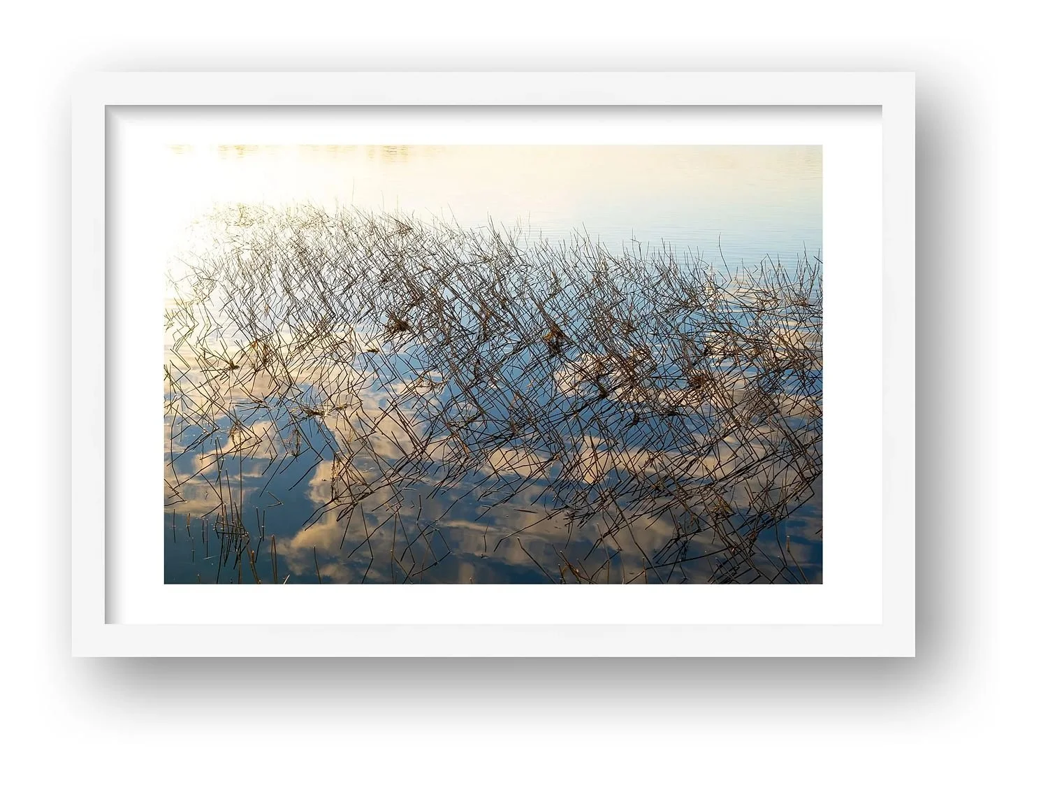 preview_e4c7150d_9700de7e.jpg