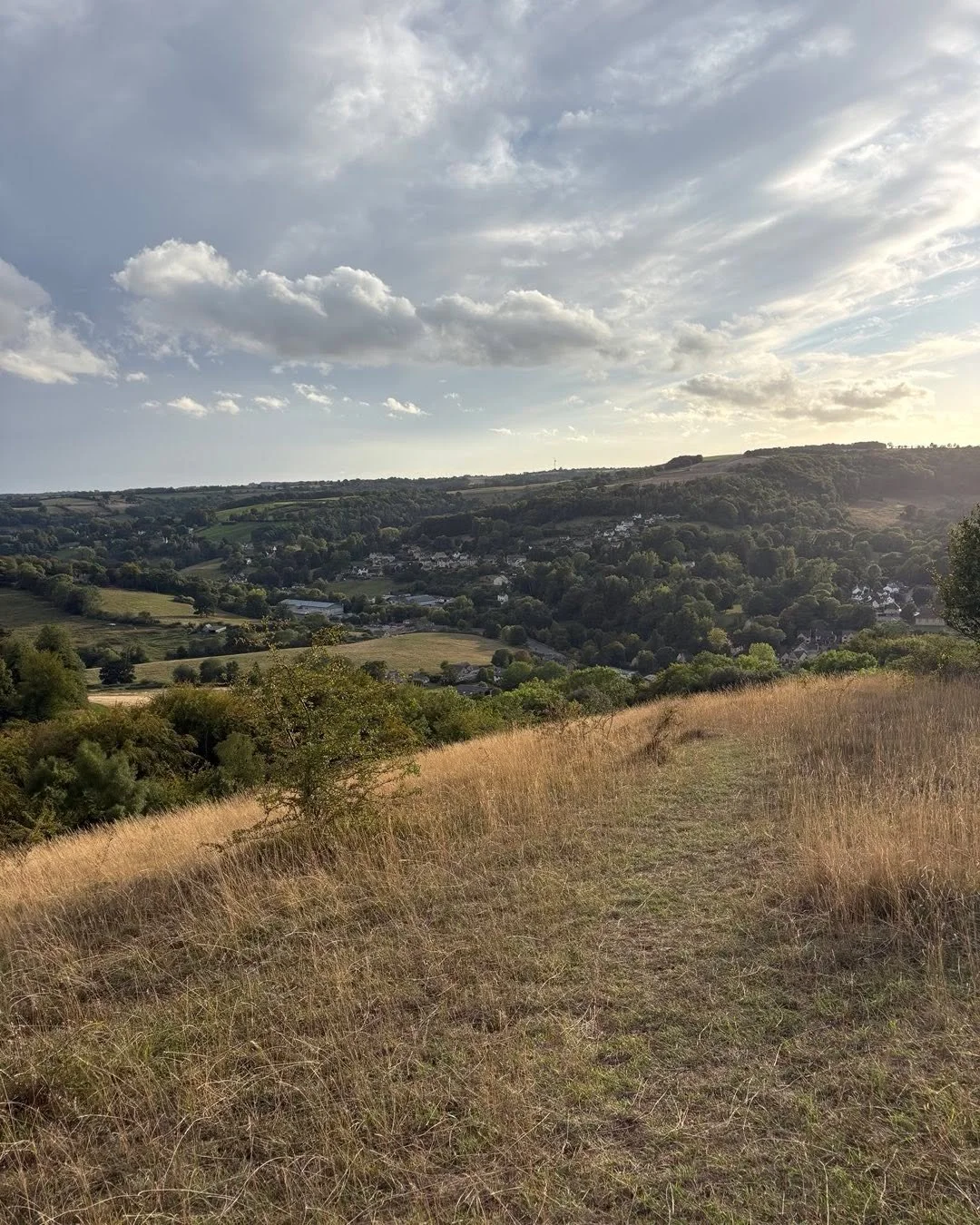 Gorgeous evening sunlight Rodborough Common looking towards Woodchester.  How lucky we are to live in the beautiful Cotwolds! #gloriousCotswolds