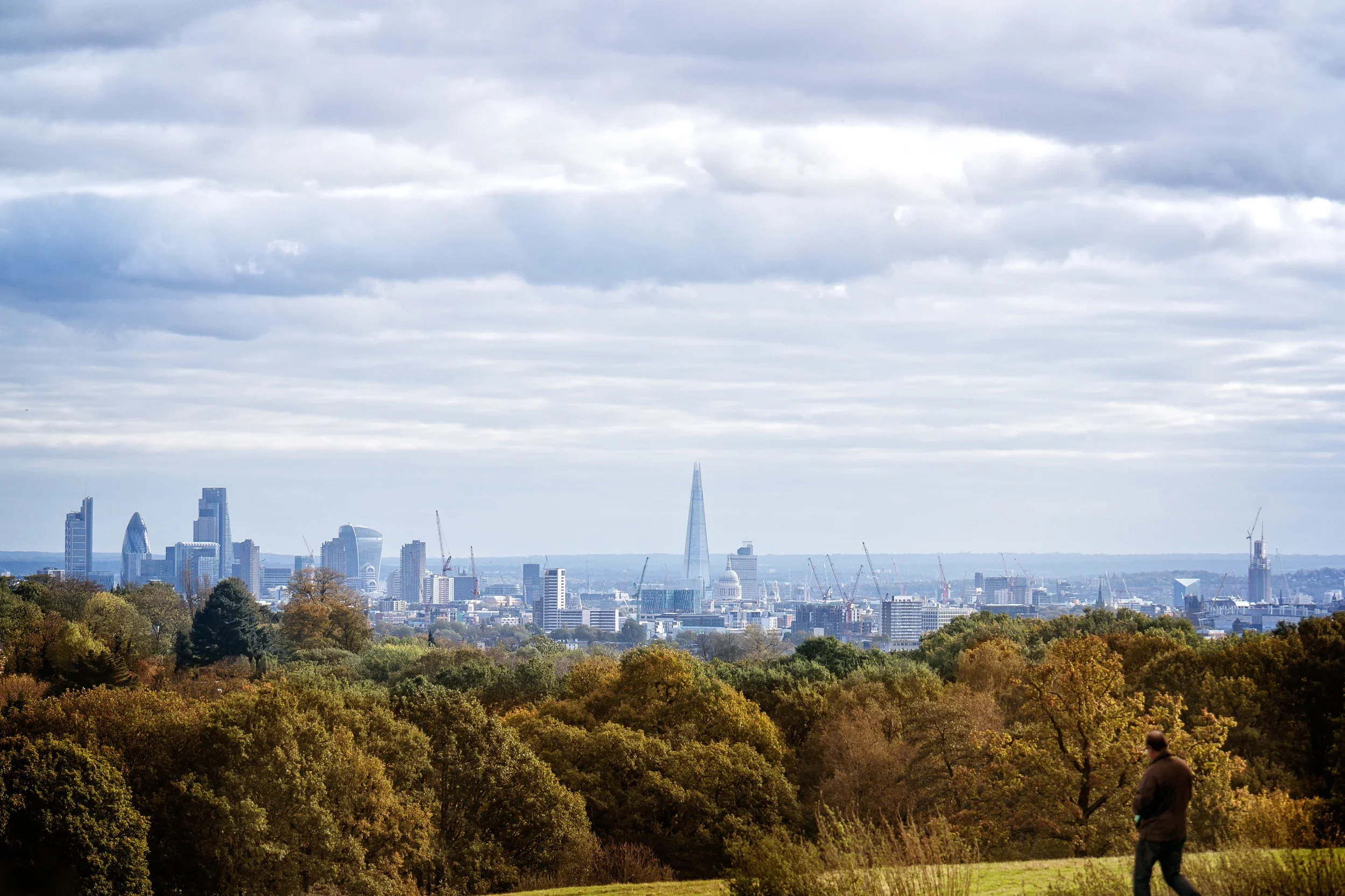 Hampstead.webp