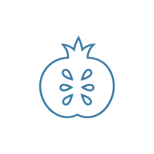 Outline illustration of a pomegranate fruit with seeds inside, depicted with blue lines on a black background.