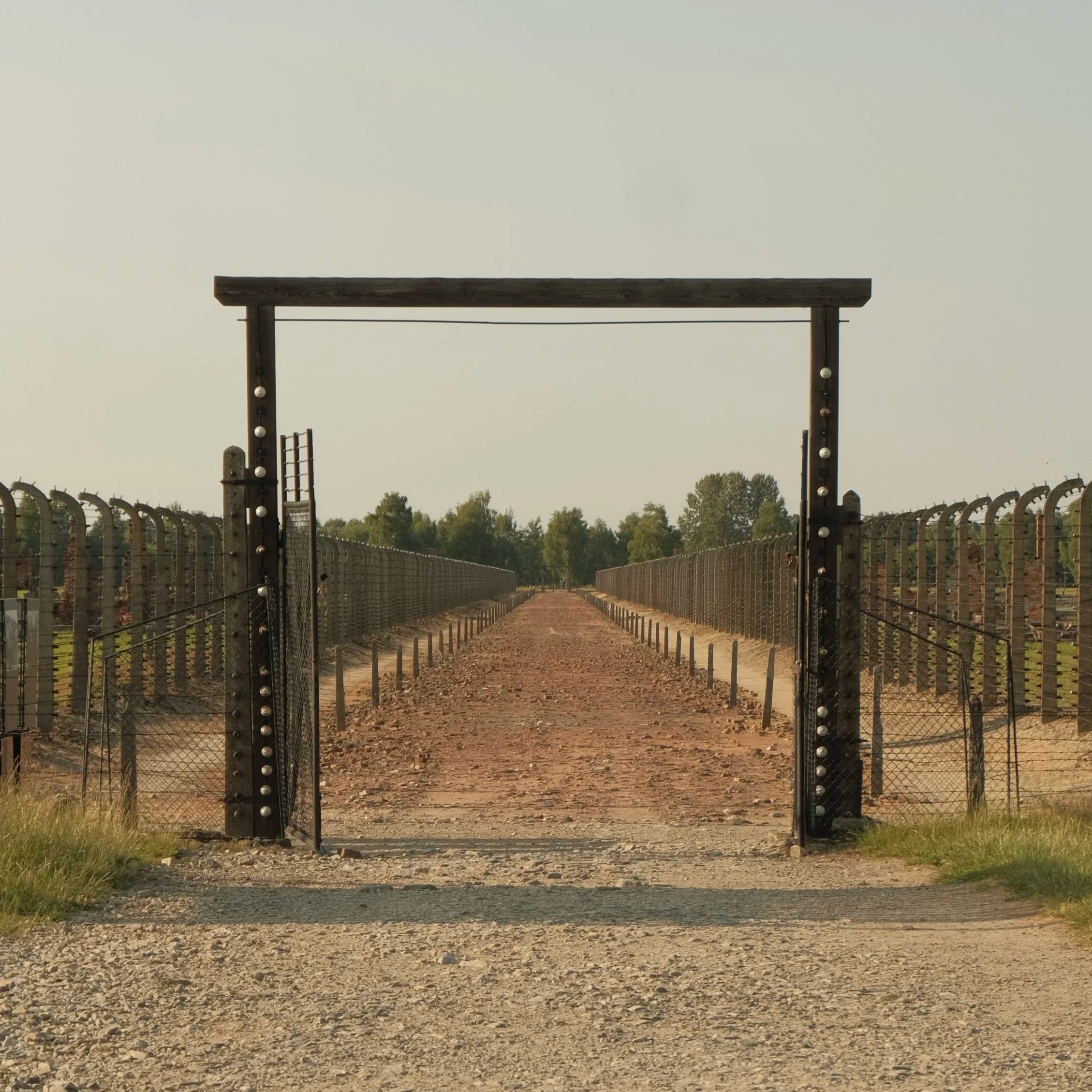 DSCF9700.jpg