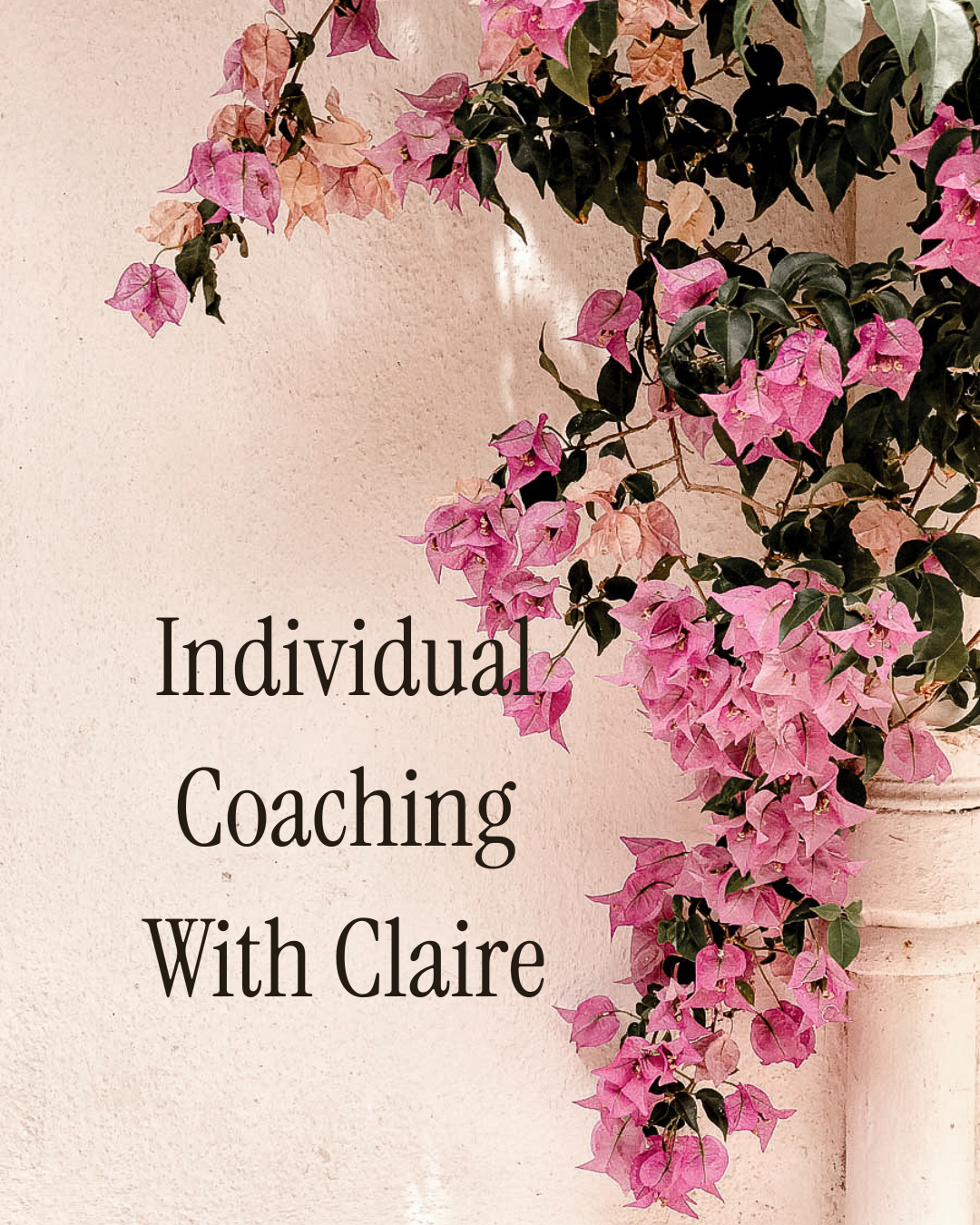 Individual Coaching