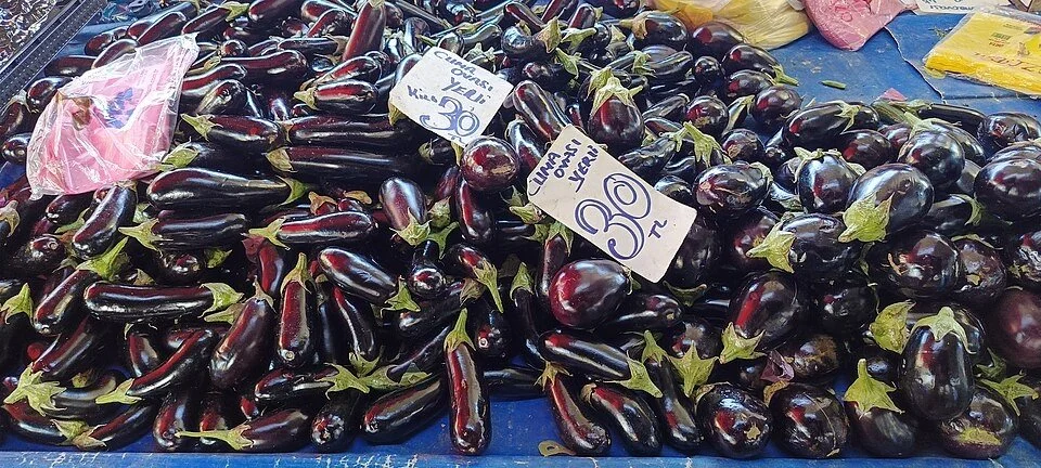 Eggplant
