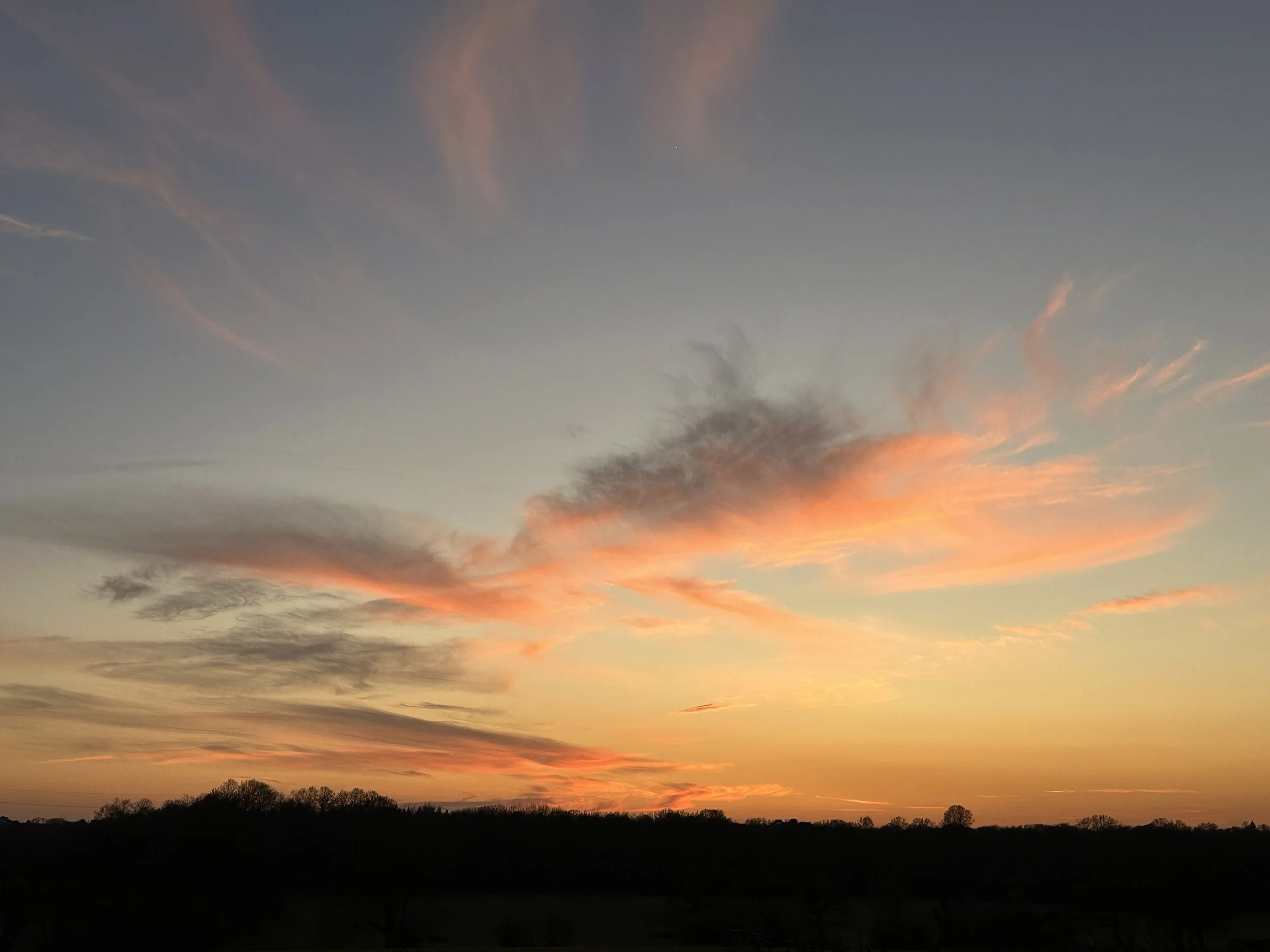 IMG_7890.jpeg