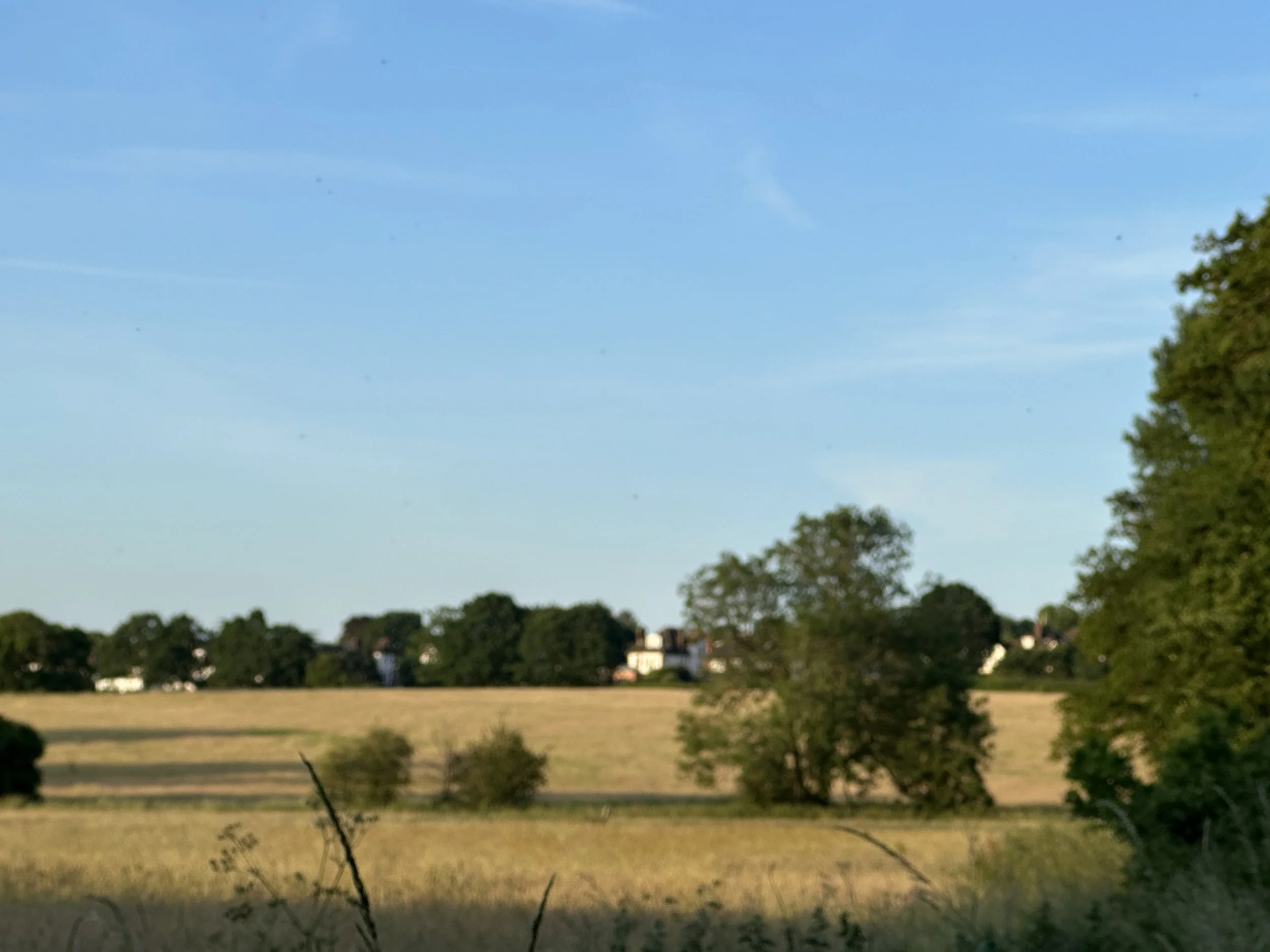IMG_9141.jpeg